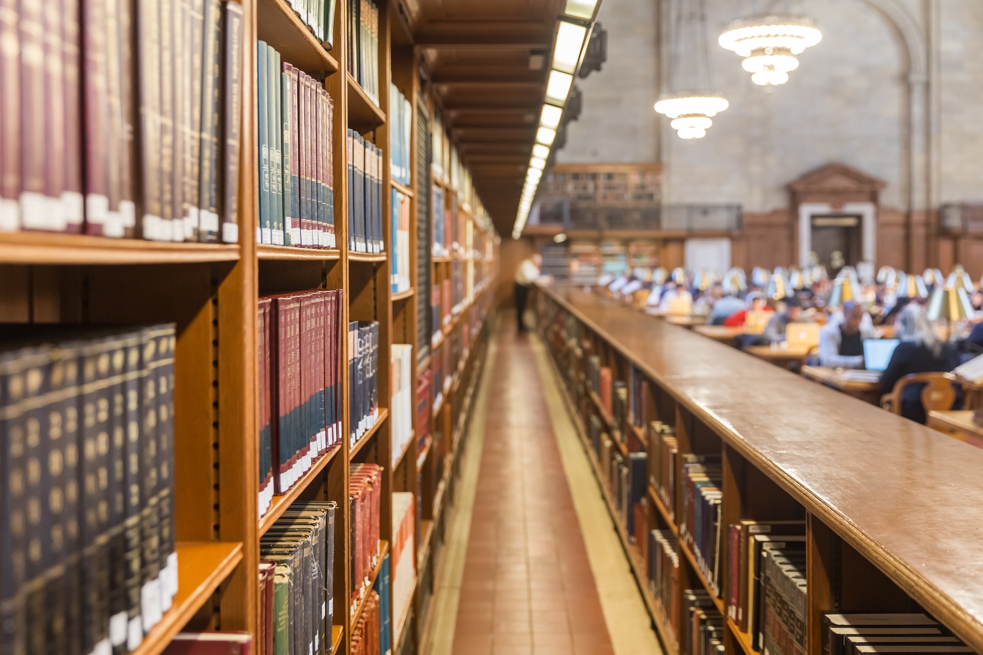 Library vibes, quiet time at the library